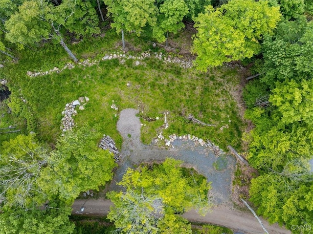 146 Mohawk Dr W, Webb, NY 13420 - aerial view of property's location