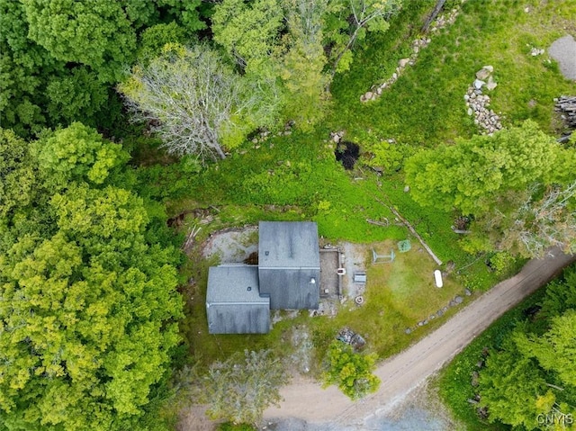 146 Mohawk Dr W, Webb, NY 13420 - aerial overview of property's location