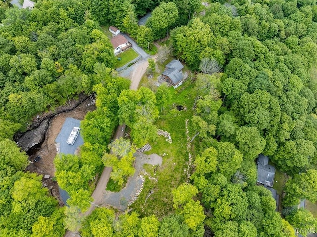 146 Mohawk Dr W, Webb, NY 13420 - aerial overview of property's location