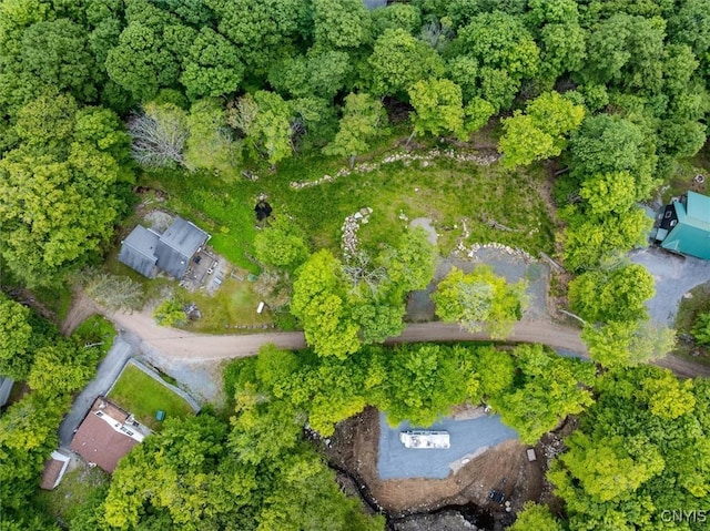 146 Mohawk Dr W, Webb, NY 13420 - aerial view of property and surrounding area
