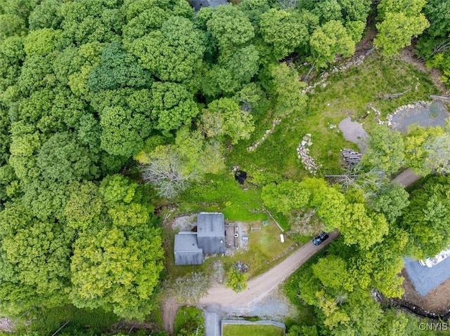 146 Mohawk Dr W, Webb, NY 13420 - aerial view of property and surrounding area