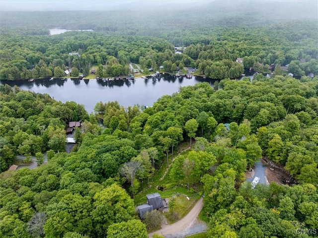 146 Mohawk Dr W, Webb, NY 13420 - aerial overview of property's location featuring a forest and a large body of water
