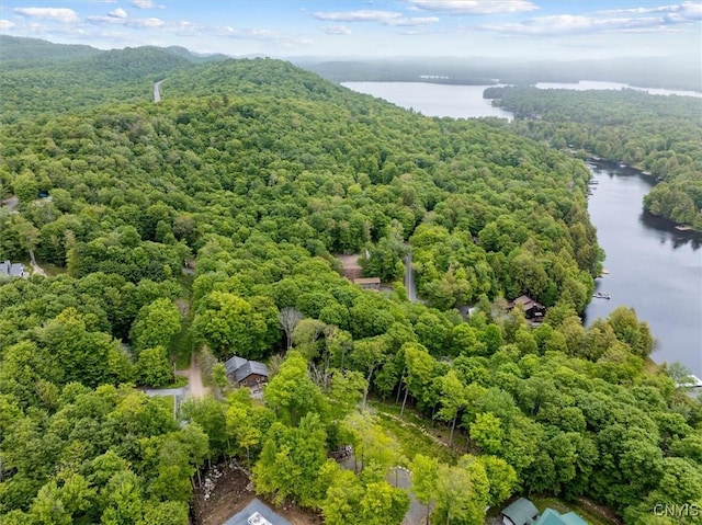 146 Mohawk Dr W, Webb, NY 13420 - bird's eye view of a forest and a large body of water