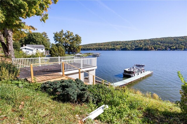 4210 Shorewood Dr, Wayne, NY 14840 - photo 42