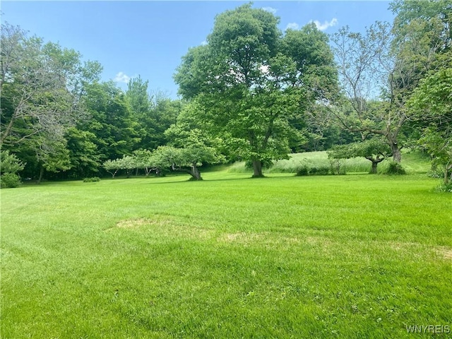 11671 Gowanda State Rd, North Collins, NY 14111 - view of grassy yard