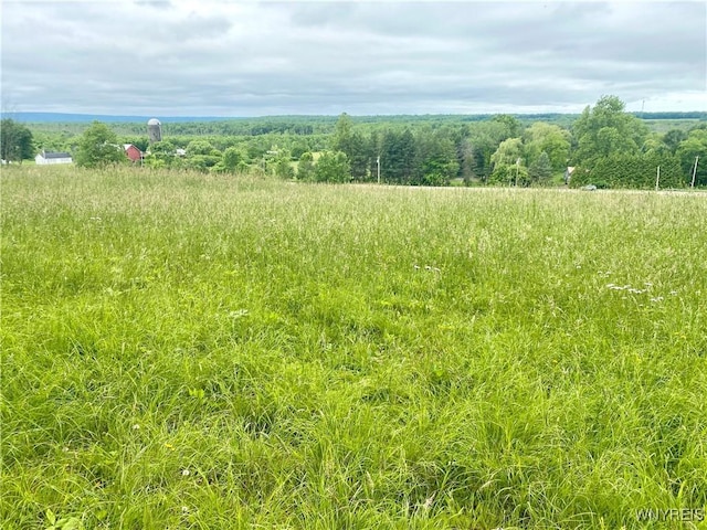 11671 Gowanda State Rd, North Collins, NY 14111 - view of local wilderness featuring rural landscape