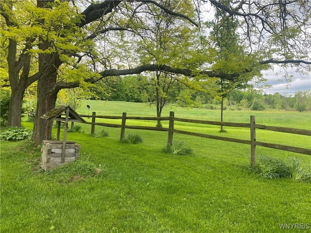 11671 Gowanda State Rd, North Collins, NY 14111 - view of yard