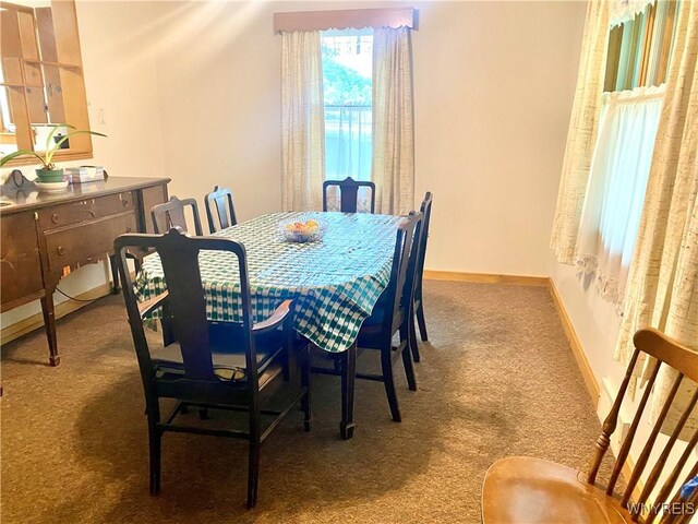 11671 Gowanda State Rd, North Collins, NY 14111 - carpeted dining area with baseboards