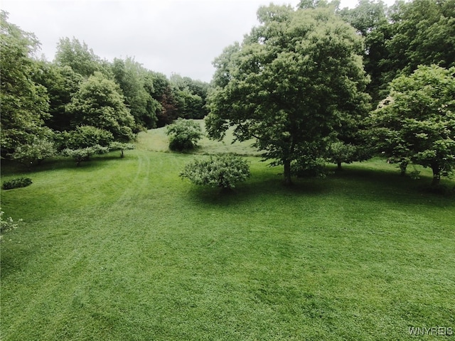 11671 Gowanda State Rd, North Collins, NY 14111 - view of grassy yard