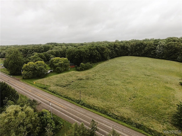 11671 Gowanda State Rd, North Collins, NY 14111 - drone / aerial view