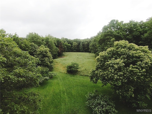 11671 Gowanda State Rd, North Collins, NY 14111 - view of yard