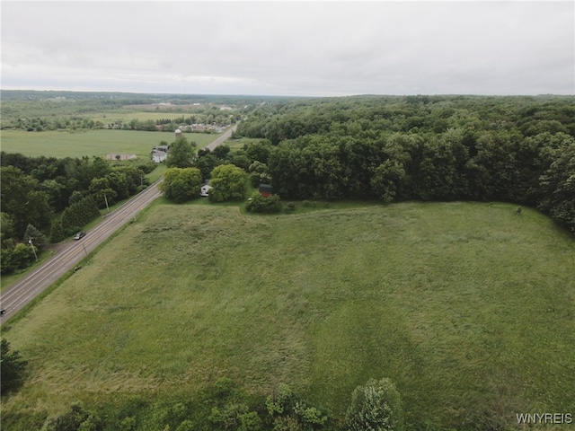11671 Gowanda State Rd, North Collins, NY 14111 - aerial view of property and surrounding area with rural landscape