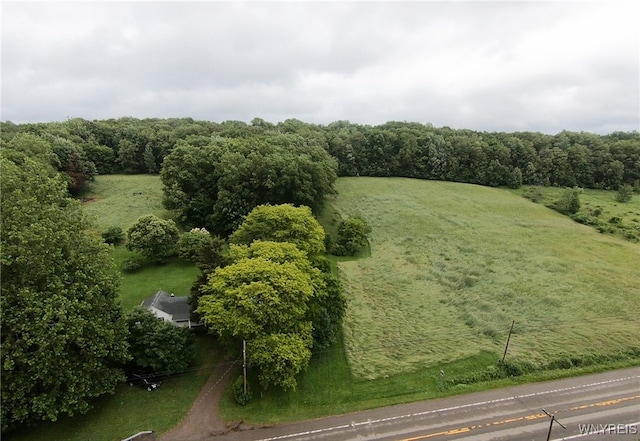 11671 Gowanda State Rd, North Collins, NY 14111 - aerial view of sparsely populated area
