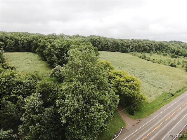11671 Gowanda State Rd, North Collins, NY 14111 - overview of rural landscape