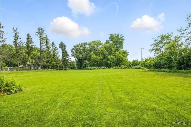11247 Genesee St, Alexander, NY 14011 - photo 43