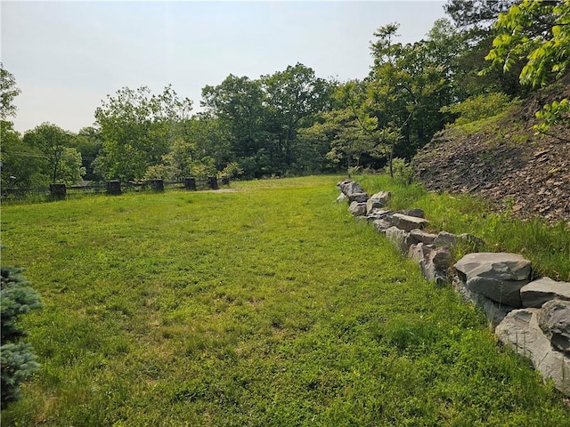 818 Larchmont Cir, Elmira, NY 14905 - view of yard