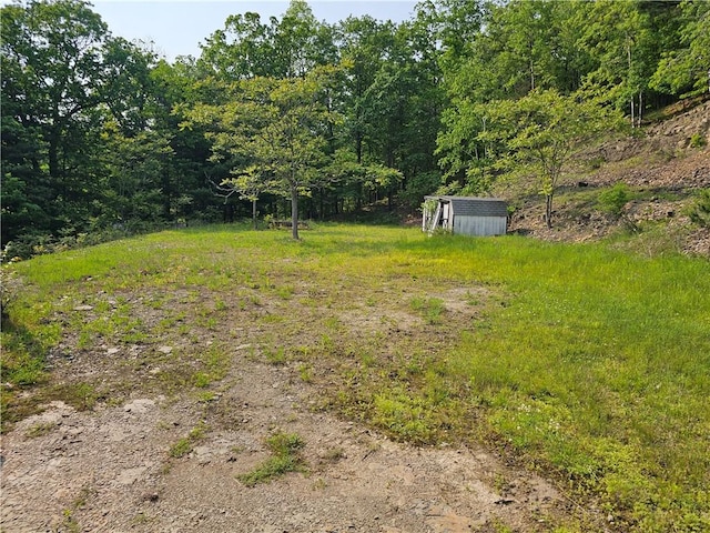 818 Larchmont Cir, Elmira, NY 14905 - view of yard featuring a storage shed and a view of trees