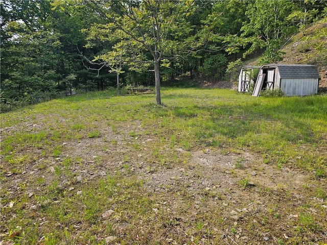 818 Larchmont Cir, Elmira, NY 14905 - view of yard with a shed