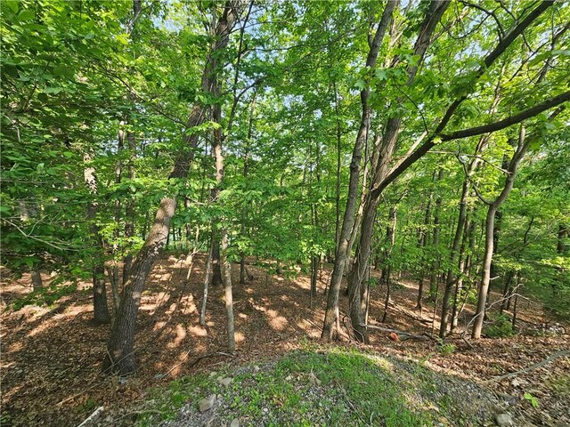 818 Larchmont Cir, Elmira, NY 14905 - view of local wilderness