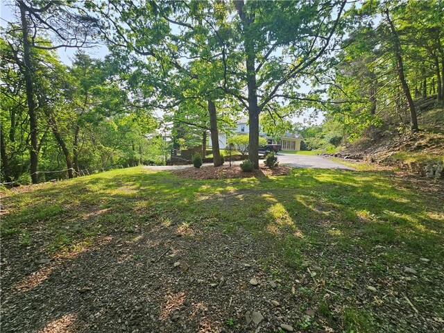 818 Larchmont Cir, Elmira, NY 14905 - view of yard