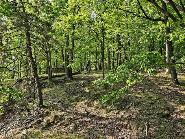 818 Larchmont Cir, Elmira, NY 14905 - view of woods
