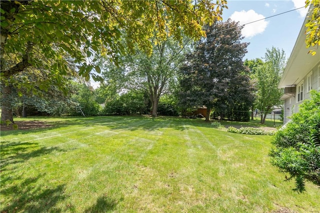 6 Meadowbrook Ter, North Dansville, NY 14437 - view of yard