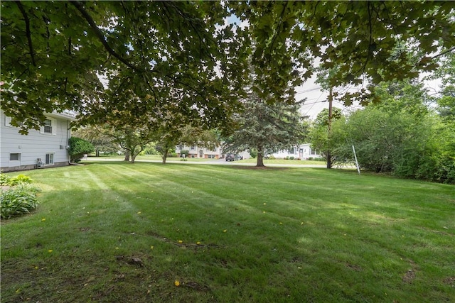 6 Meadowbrook Ter, North Dansville, NY 14437 - view of green lawn