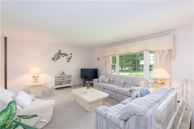 6 Meadowbrook Ter, North Dansville, NY 14437 - living room with carpet floors