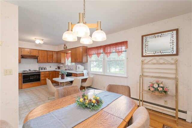 6 Meadowbrook Ter, North Dansville, NY 14437 - dining area with a baseboard radiator and light flooring