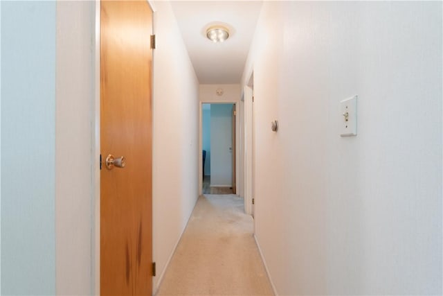 6 Meadowbrook Ter, North Dansville, NY 14437 - hallway featuring light carpet