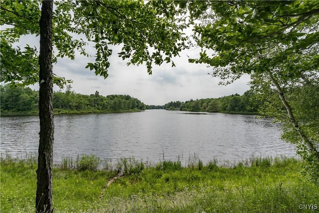 60 Van Buren St, Antwerp, NY 13608 - water view featuring a heavily wooded area
