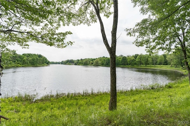 60 Van Buren St, Antwerp, NY 13608 - water view featuring a forest