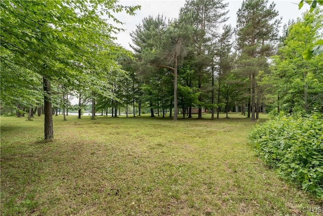 60 Van Buren St, Antwerp, NY 13608 - view of green lawn