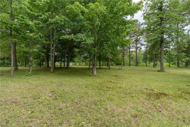 60 Van Buren St, Antwerp, NY 13608 - view of green lawn