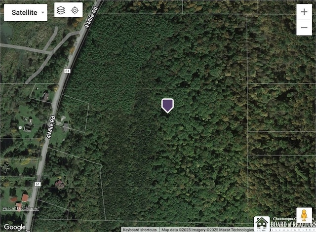 738 Four Mile Rd, Allegany, NY 14706 - photo 18