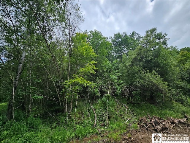 738 Four Mile Rd, Allegany, NY 14706 - photo 5