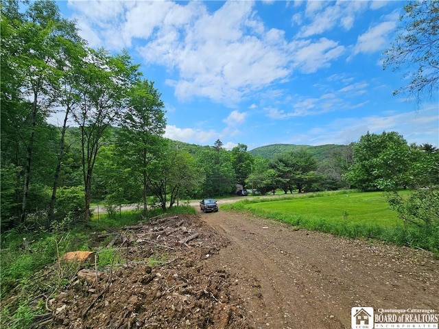 738 Four Mile Rd, Allegany, NY 14706 - photo 6