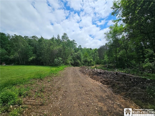 738 Four Mile Rd, Allegany, NY 14706 - photo 7