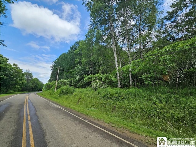 738 Four Mile Rd, Allegany, NY 14706 - photo 8