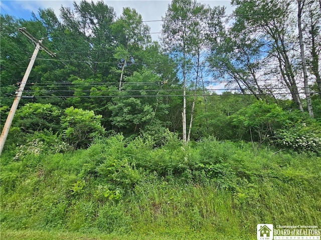 738 Four Mile Rd, Allegany, NY 14706 - photo 3