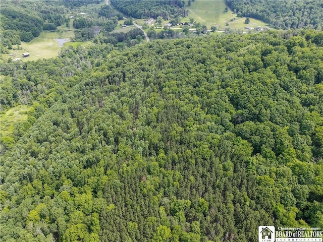 738 Four Mile Rd, Allegany, NY 14706 - photo 4