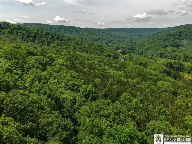 738 Four Mile Rd, Allegany, NY 14706 - photo 13