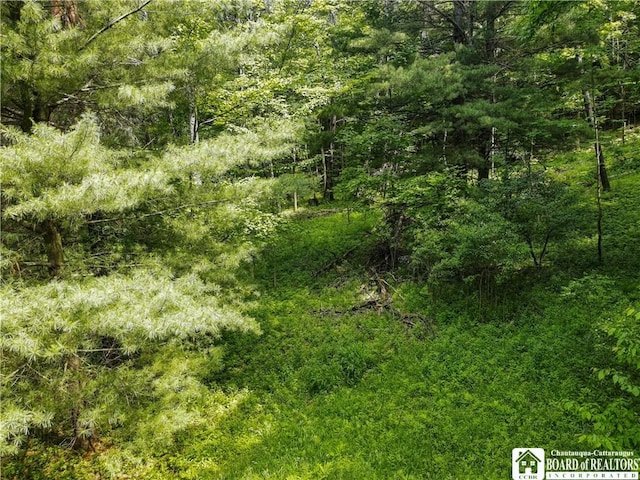 738 Four Mile Rd, Allegany, NY 14706 - photo 14