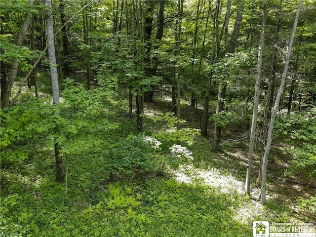 738 Four Mile Rd, Allegany, NY 14706 - photo 15