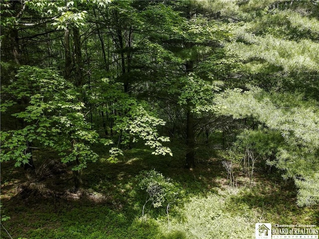 738 Four Mile Rd, Allegany, NY 14706 - photo 16