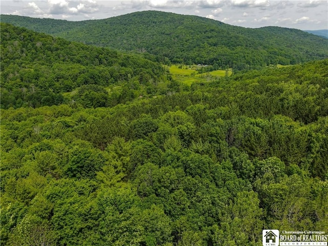 738 Four Mile Rd, Allegany, NY 14706 - photo 17
