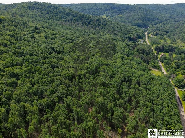 738 Four Mile Rd, Allegany, NY 14706 - photo 2