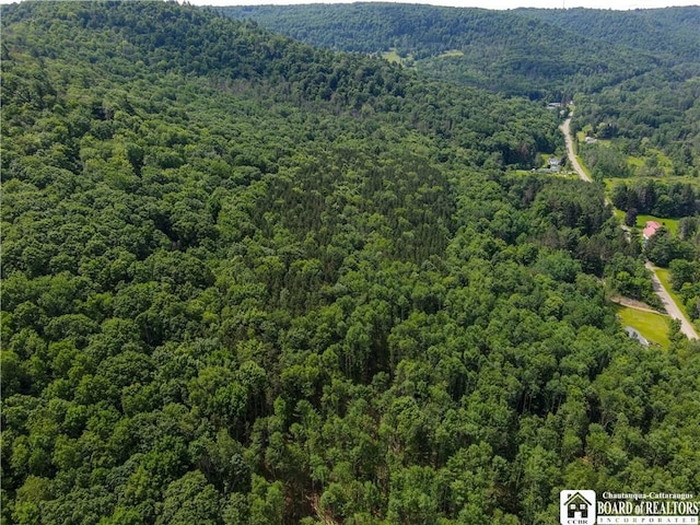 738 Four Mile Rd, Allegany, NY 14706 - photo 1
