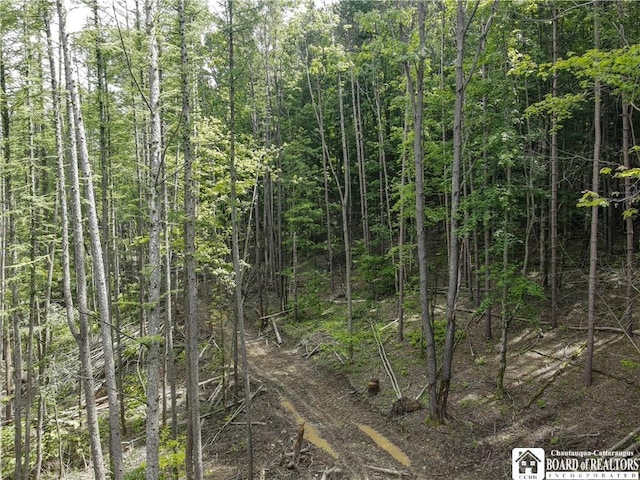 738 Four Mile Rd, Allegany, NY 14706 - photo 10