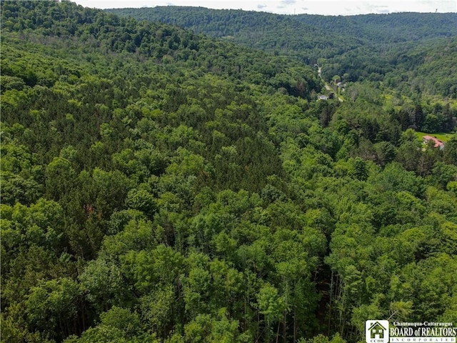 738 Four Mile Rd, Allegany, NY 14706 - photo 11